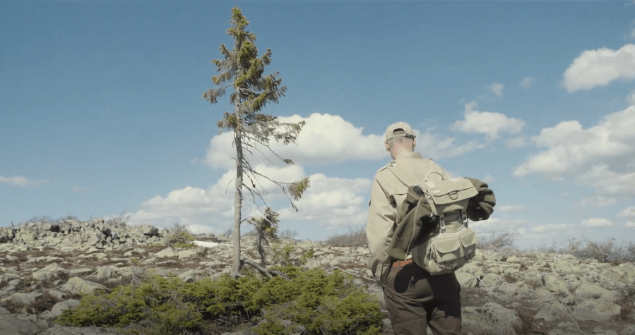 hidden life of trees peter wohlleben old tijjko